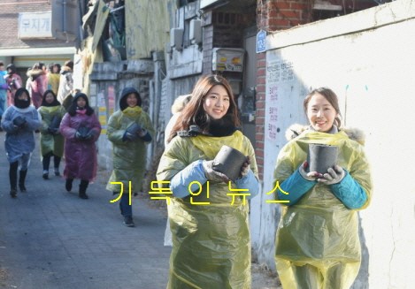 영락개발 이미지