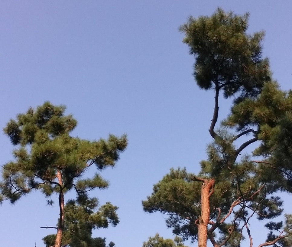 국가유공자행정심판행정사사무소 이미지