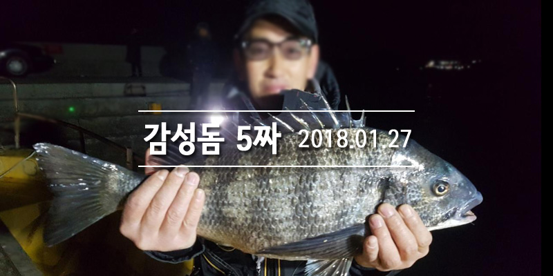 거제진선장 이미지
