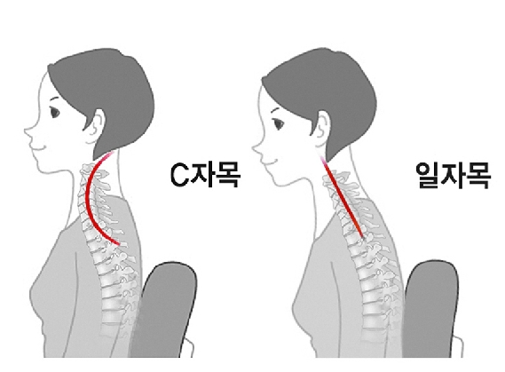 새부산스포츠 이미지