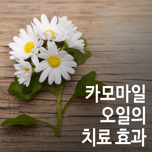 대한오일 이미지