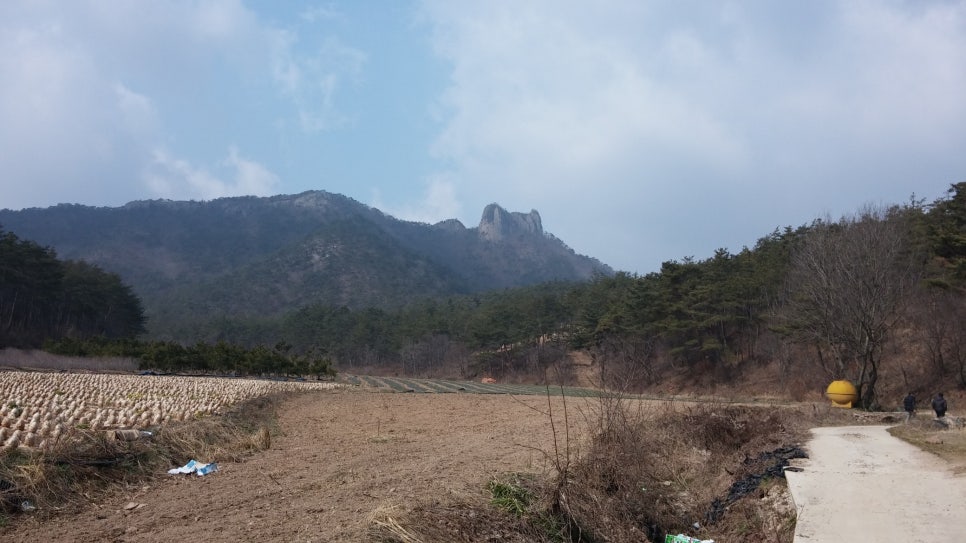 보니타정원 이미지