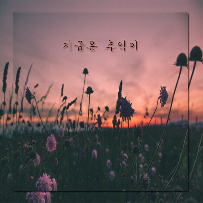 주식회사 이슬비 이미지