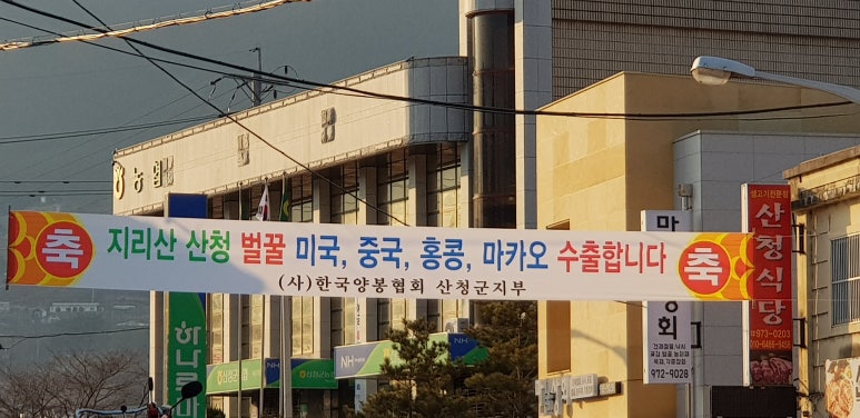 지리산산청벌꿀 이미지
