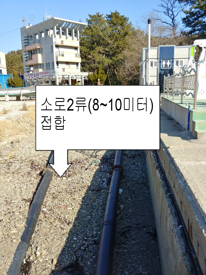 펜션600캠핑장 이미지