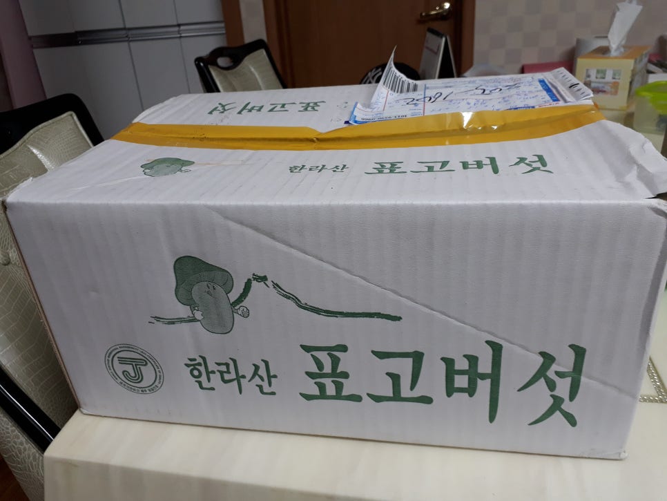 제주영실 표고버섯 이미지