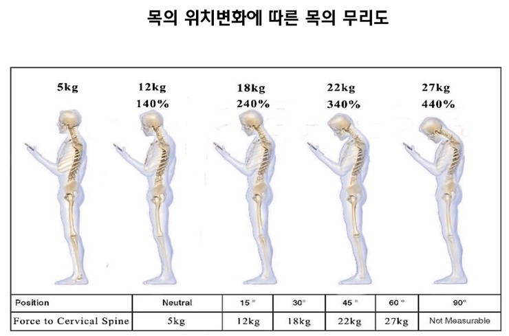 바른자세바디케어운동센터 이미지