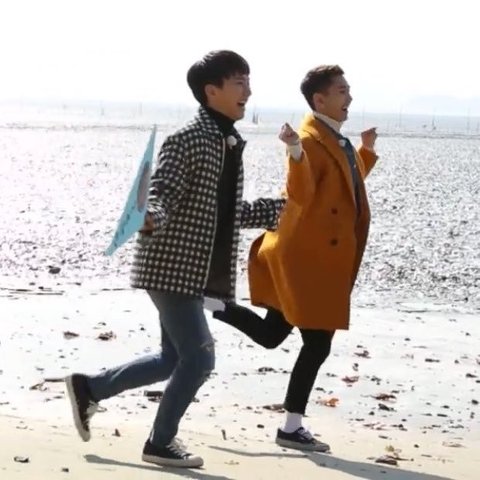 화란 이미지