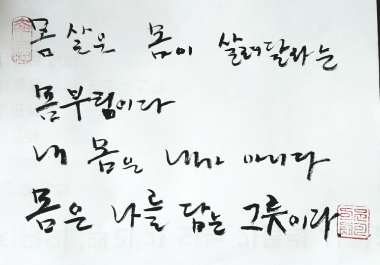 한국보육코칭협회 이미지