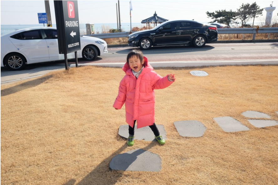 바니플랫 이미지