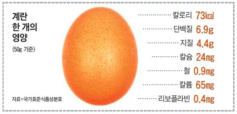 에잇코너스 이미지