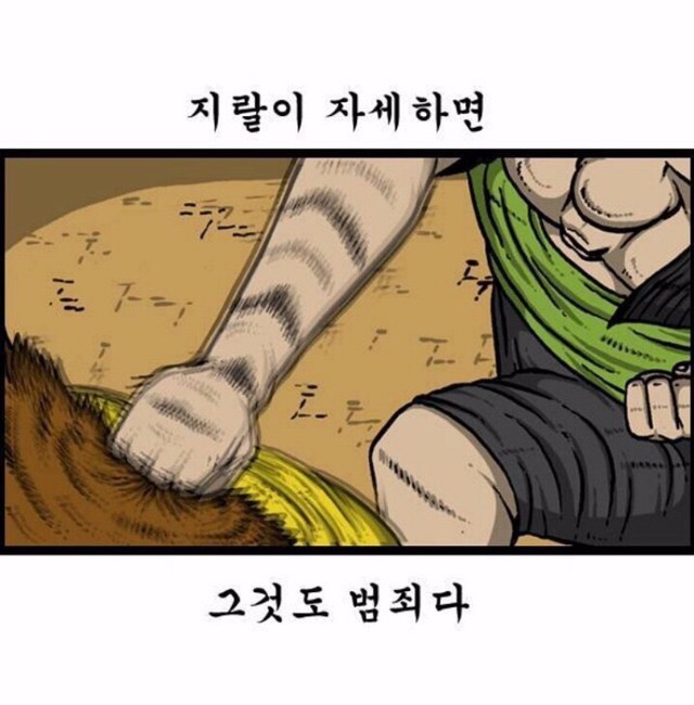 고향포차 이미지
