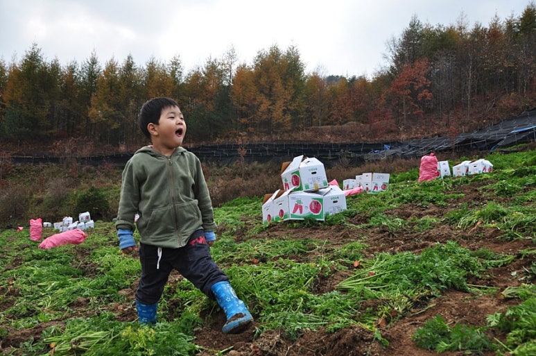 영화축산 이미지