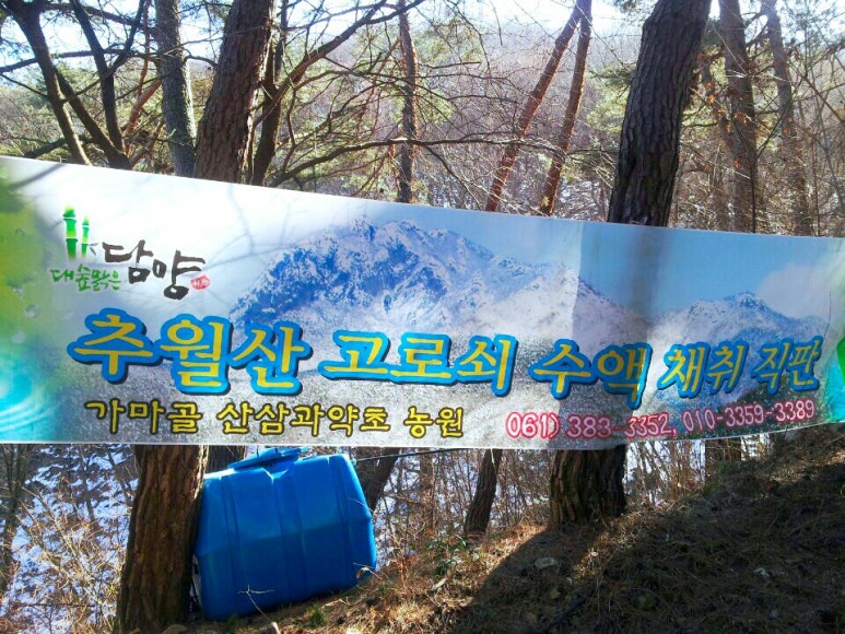 고로쇠산삼농원 이미지