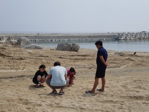 팍스투어 이미지