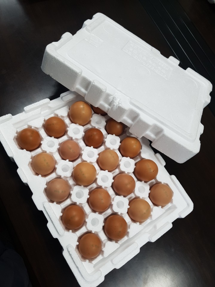 에잇코너스 이미지