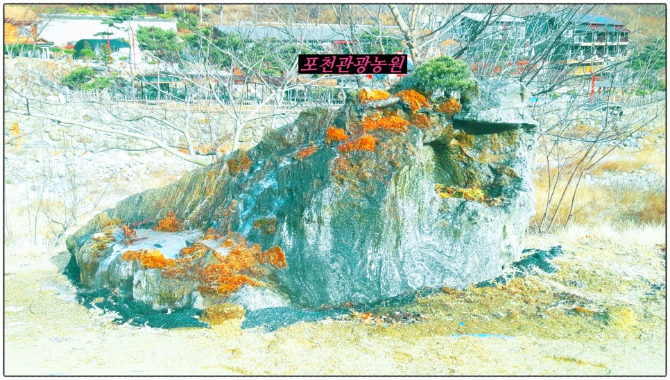 금강산푸른농원 이미지