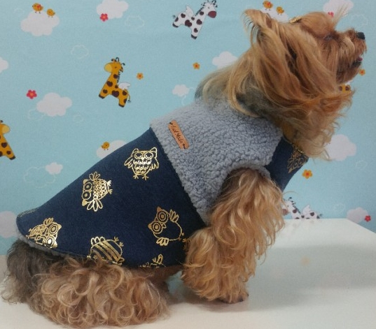 모띠앙 이미지