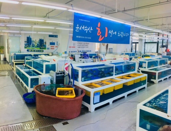 용원회센타 이미지