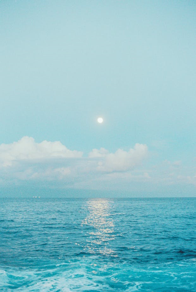 씨더씨(SEE THE SEA) 이미지