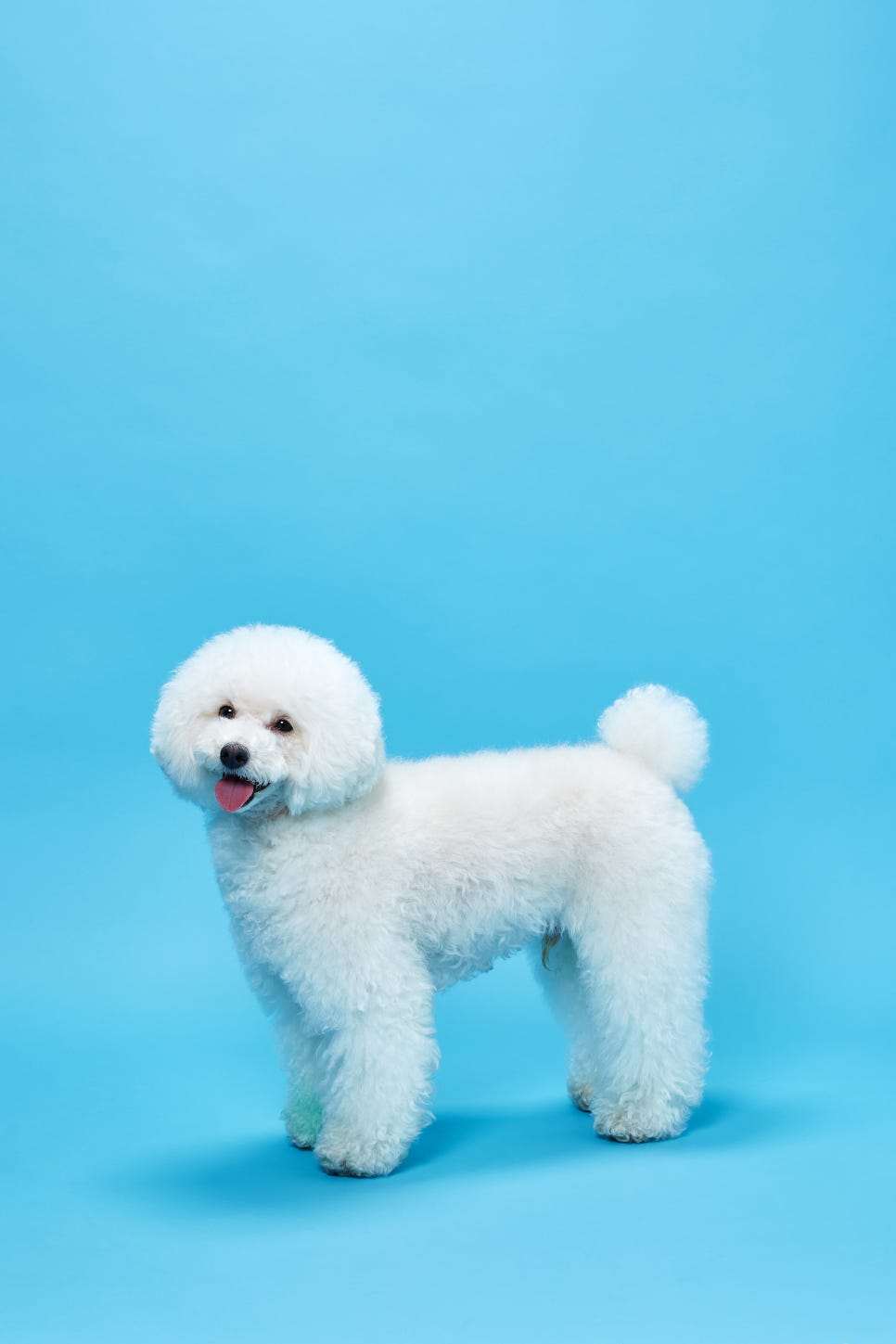 하푸스튜디오 이미지