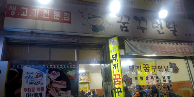 돼지꿈꾸던날 이미지