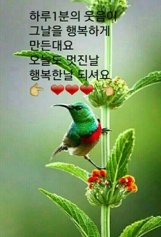 에덴미용실 이미지