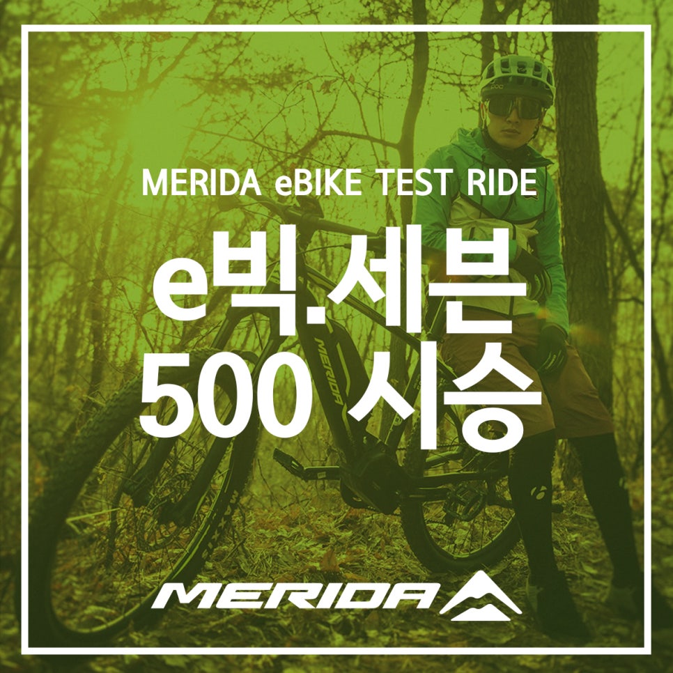 라이트스텝스 이미지