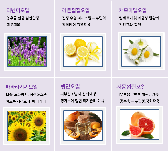 줄리스 이미지