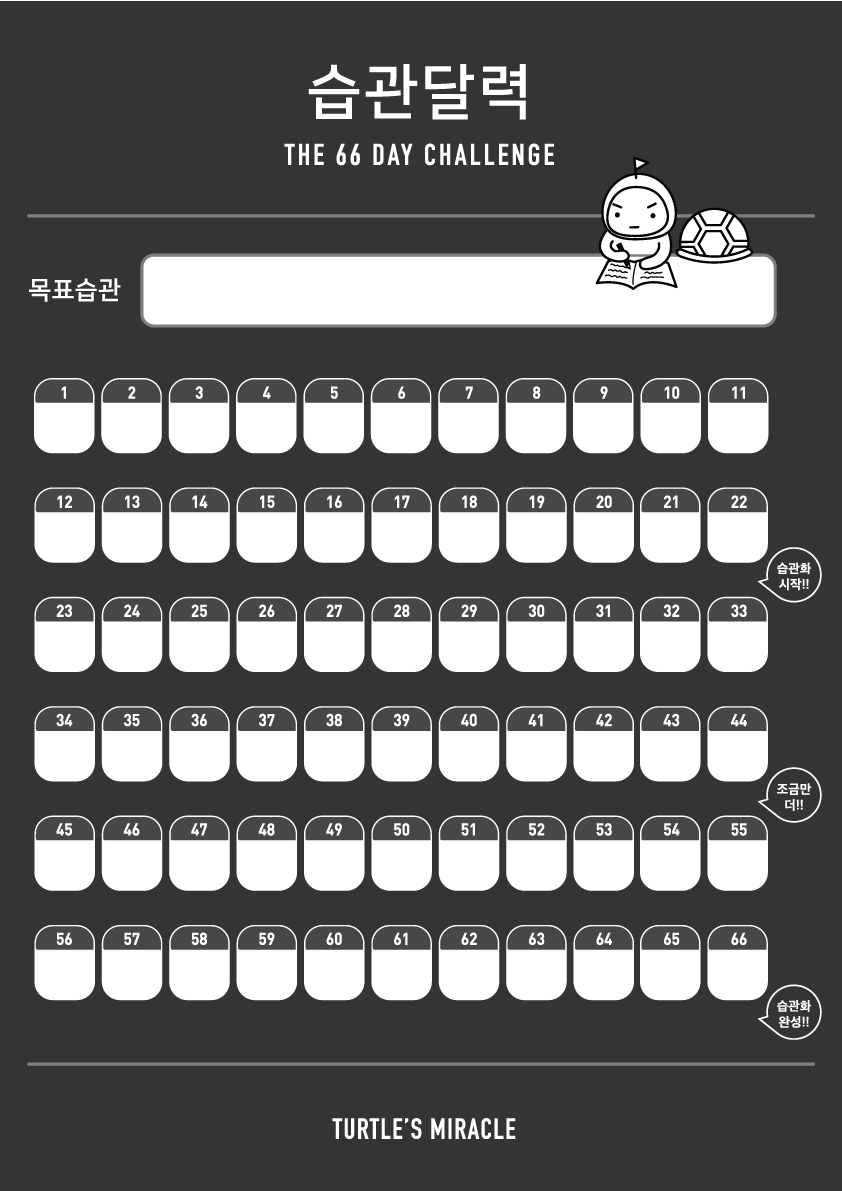 거북이의기적 이미지