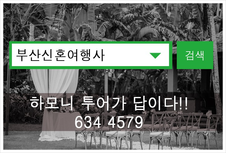 일등여행사 이미지