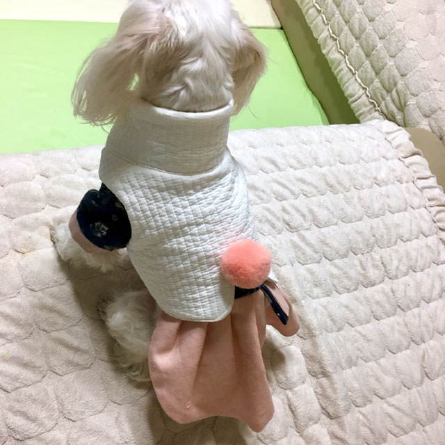 몽실상회 이미지