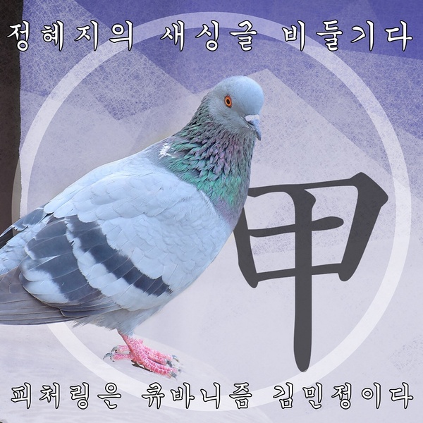 정혜지 이미지