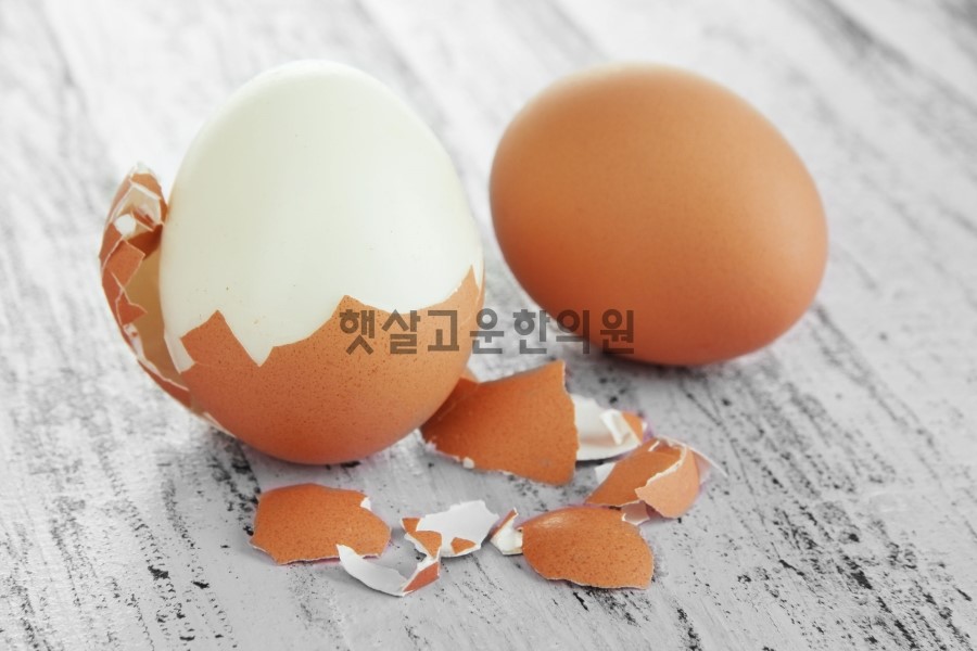 햇살계란 이미지