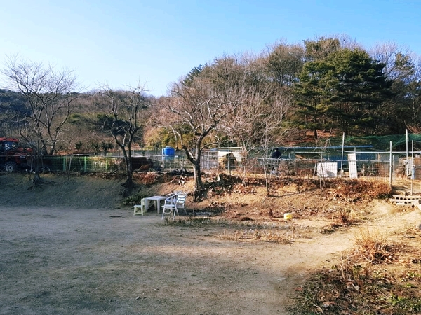 여명농장 이미지