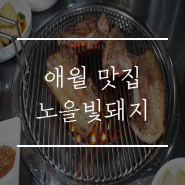 노을빛돼지 이미지