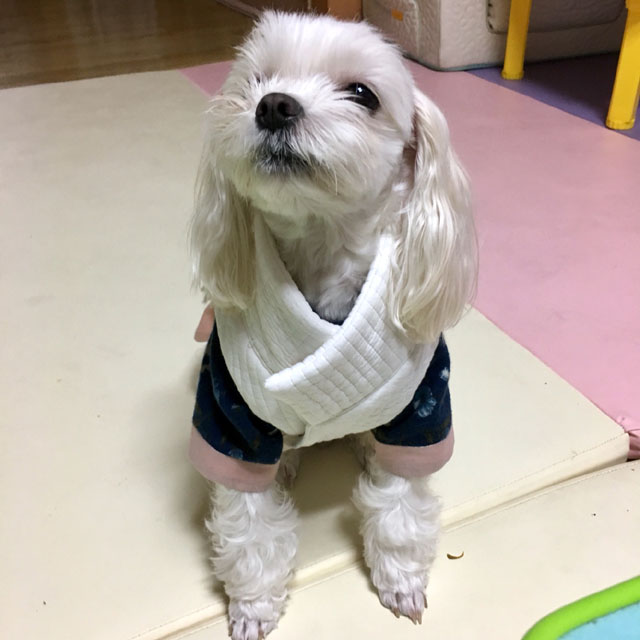 몽실상회 이미지