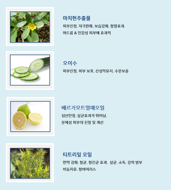 줄리스 이미지