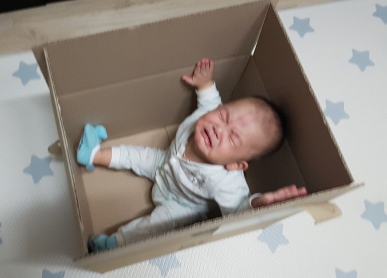 꼬꼬유통 이미지
