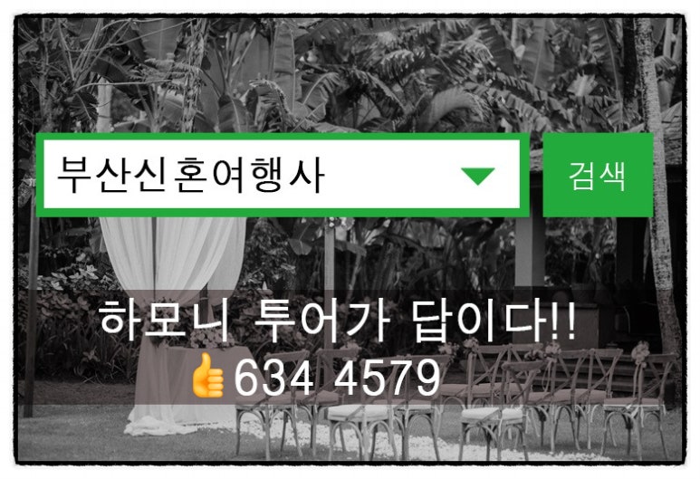 일등여행사 이미지