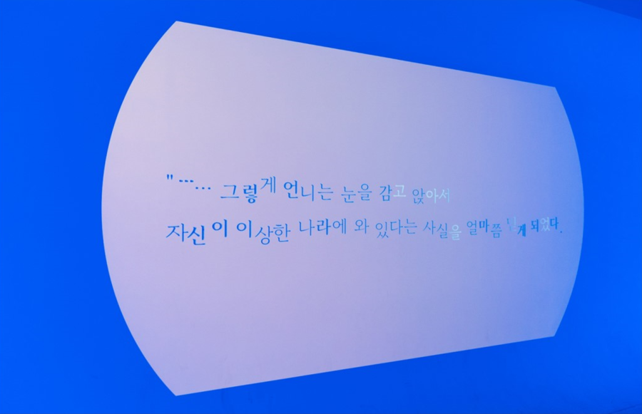 앨리스포레 이미지