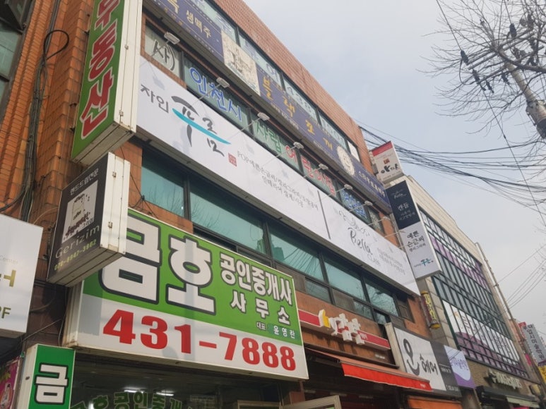 디자인 푸름 이미지