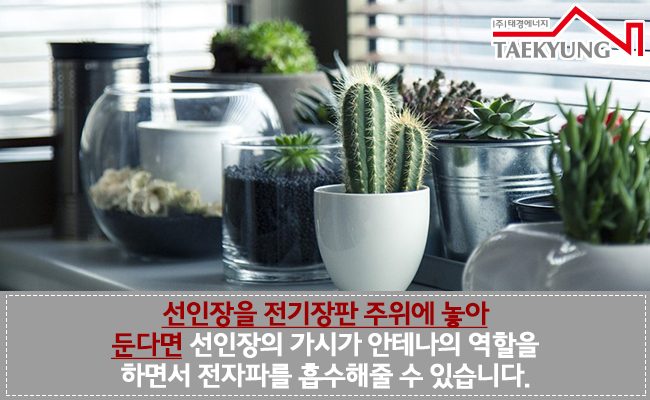 태경전기 이미지