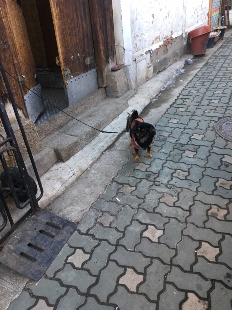 양키스카페 이미지