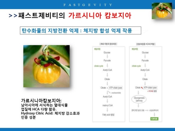 하나에너지 이미지