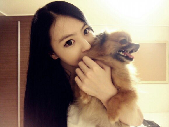 희블리 이미지