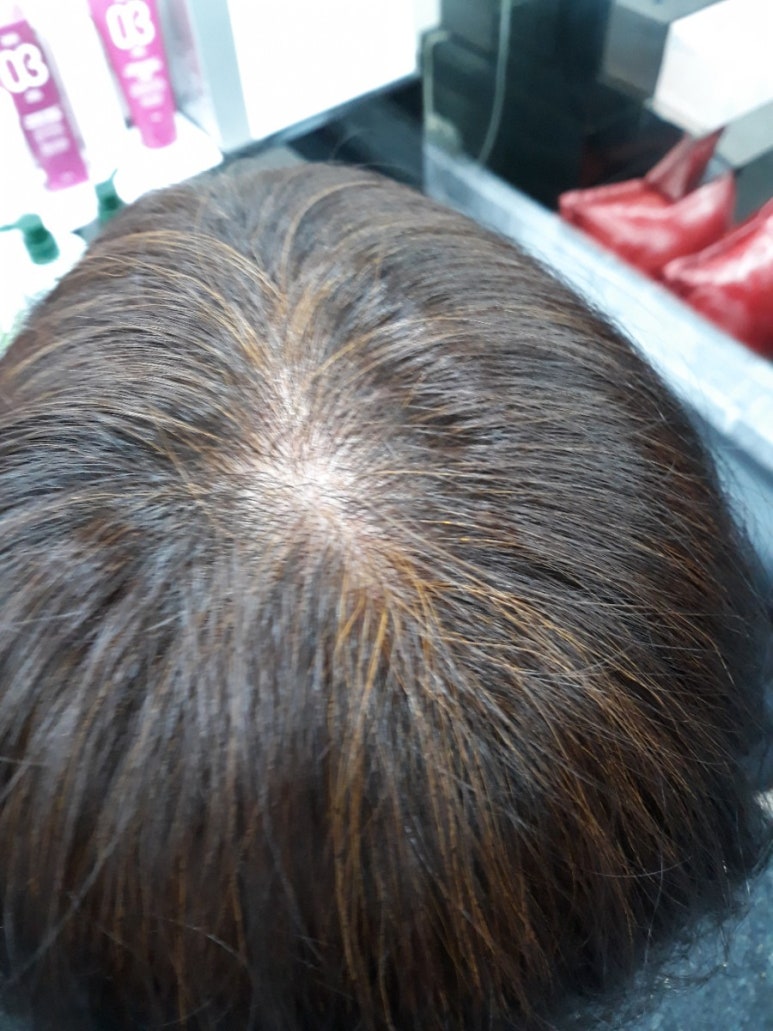 자르세헤어 이미지