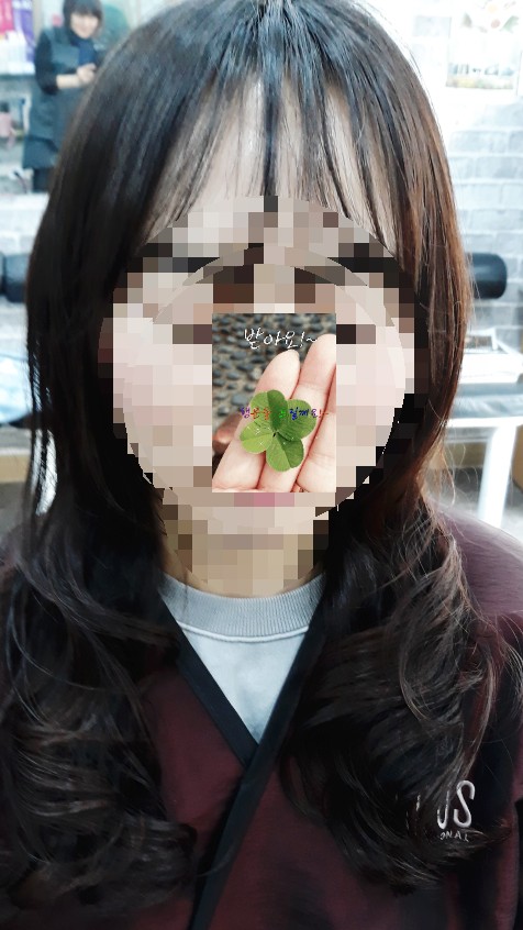 자르세헤어 이미지