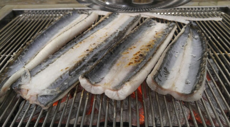 힘쎈민물장어 이미지