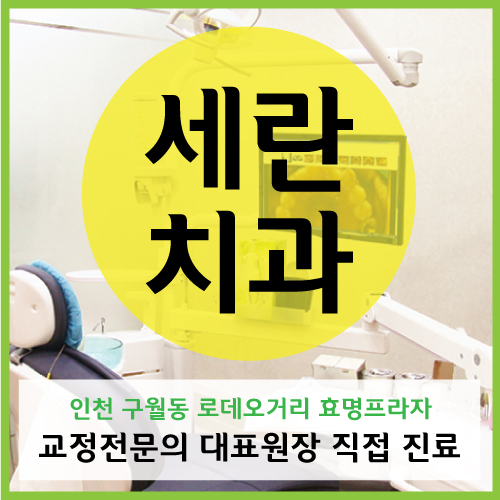세란치과 이미지